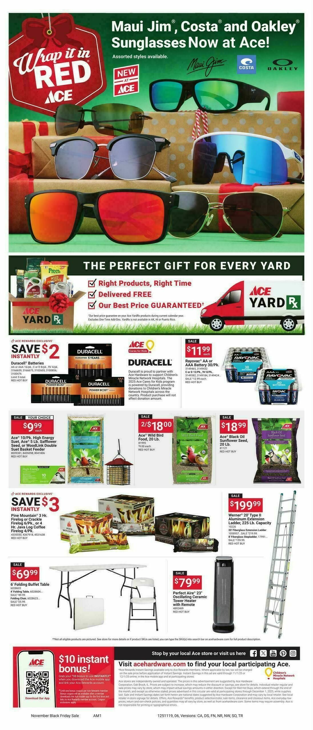 Ace Hardware Black Friday Weekly Ad from November 1