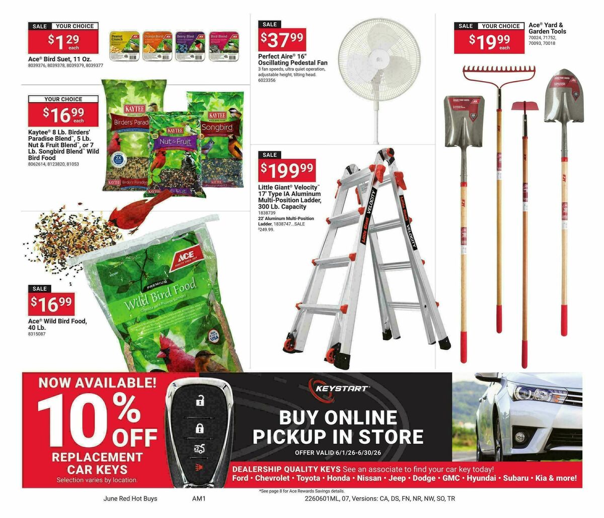 Ace Hardware June Month Long Red Hot Buys Weekly Ad from June 1
