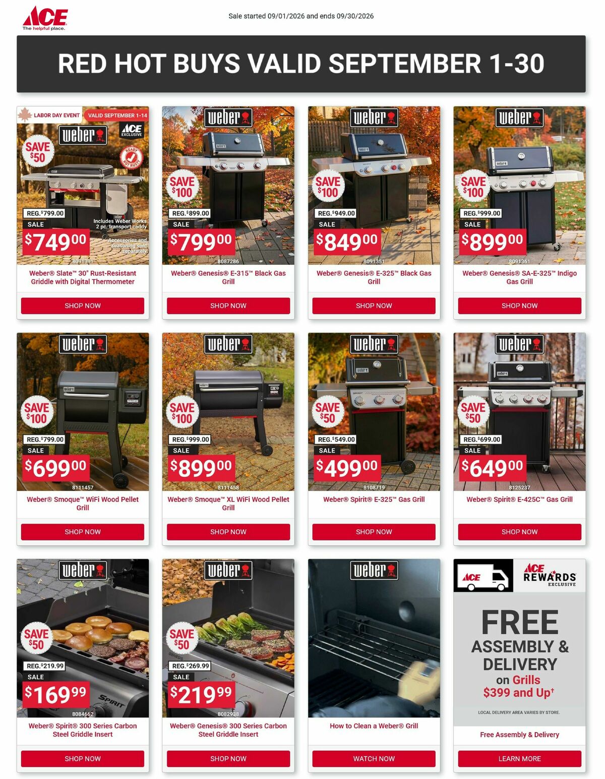 Ace Hardware Weekly Ad from September 1
