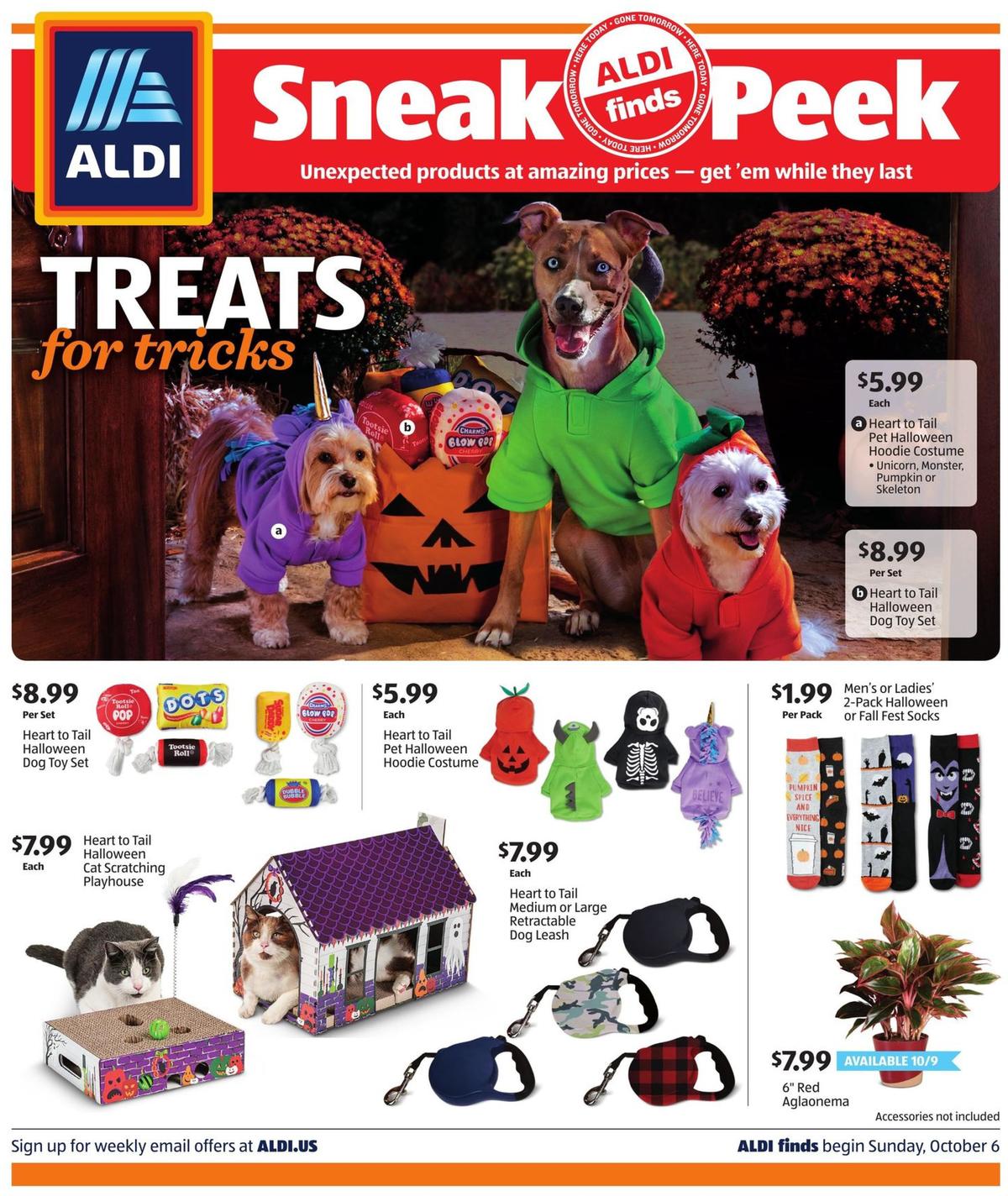 ALDI In Store Ad Weekly Ad from October 6