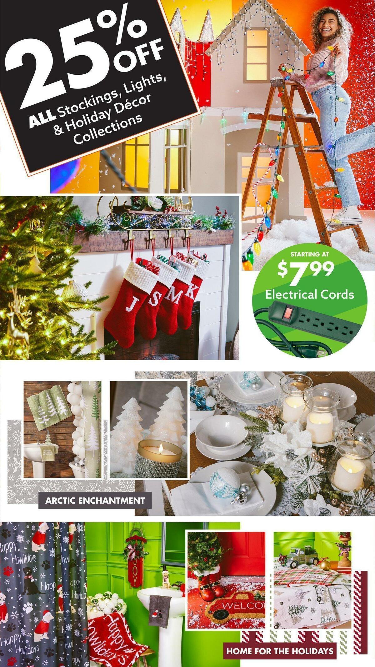 Big Lots Weekly Ad from November 19