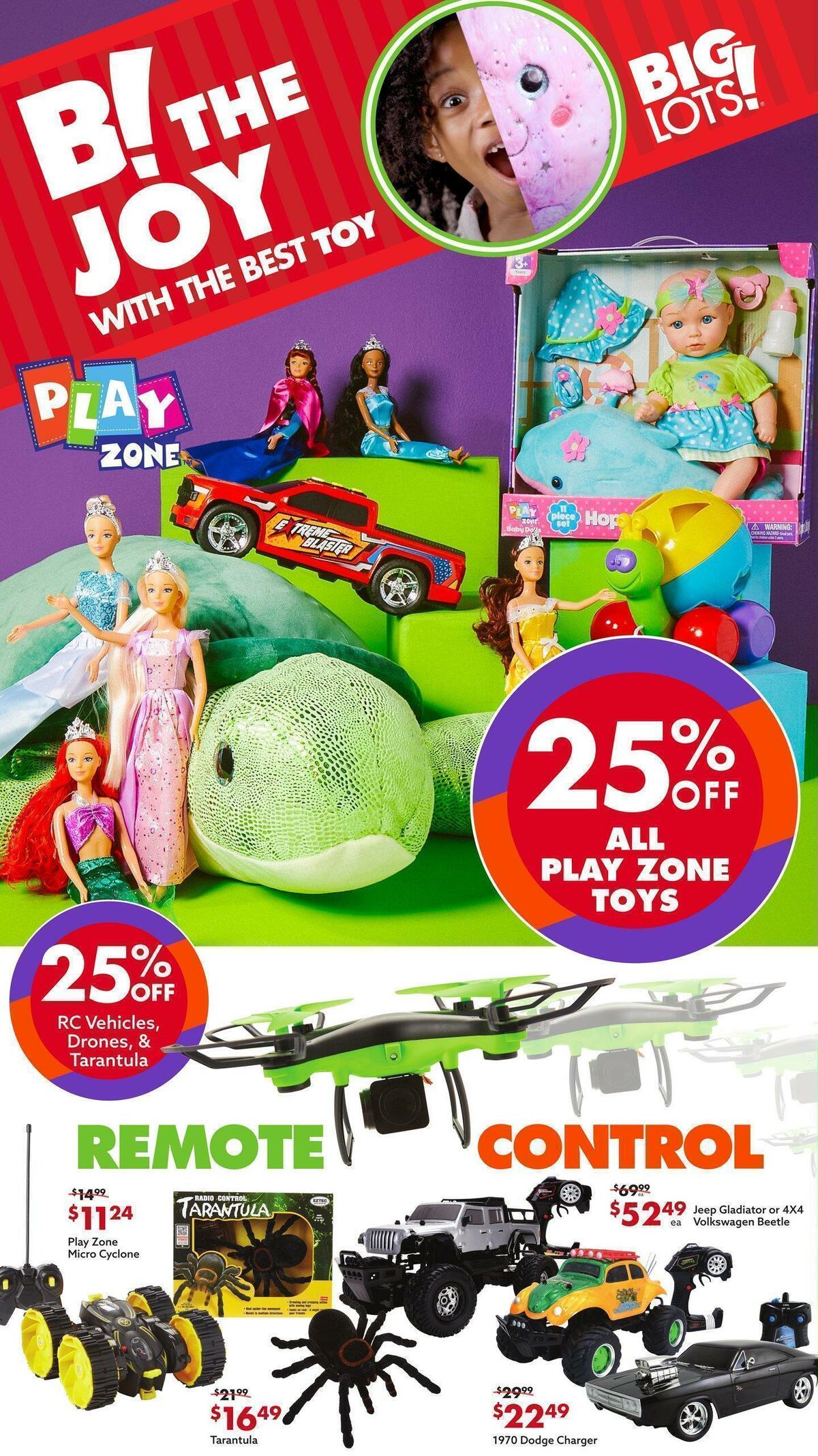 Big Lots Weekly Ad from December 10