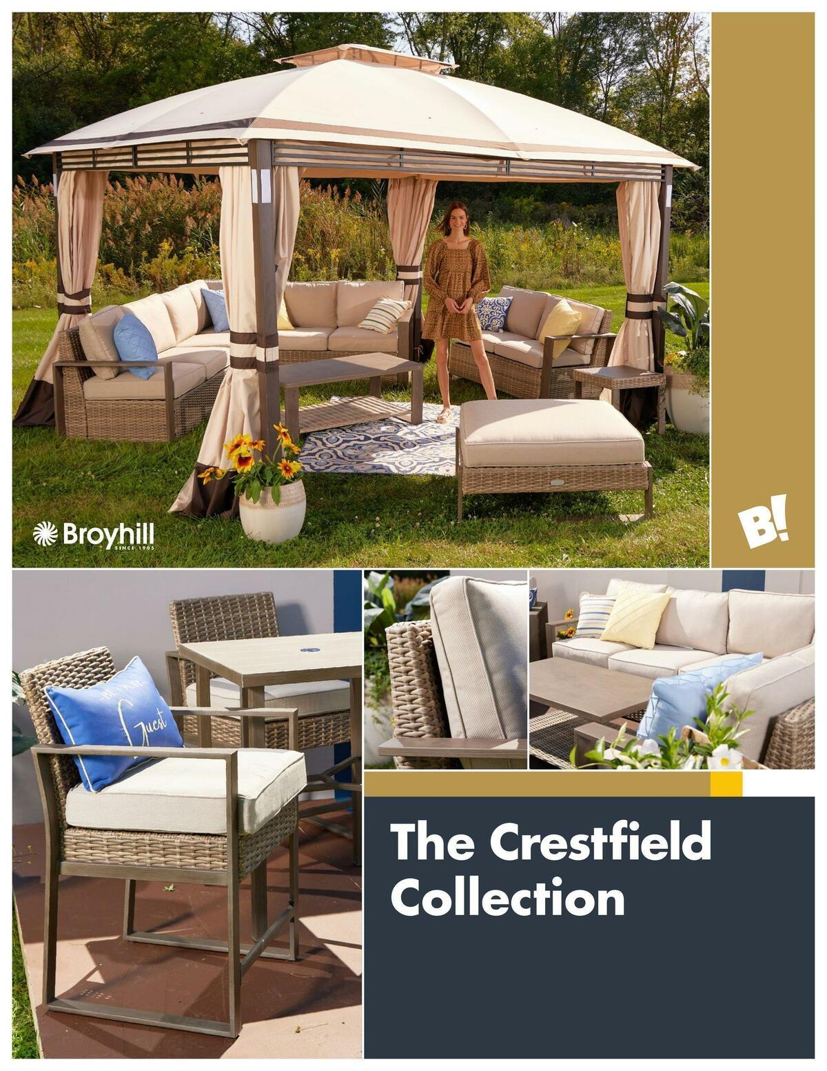 Big Lots Outdoor Living Weekly Ad from January 7