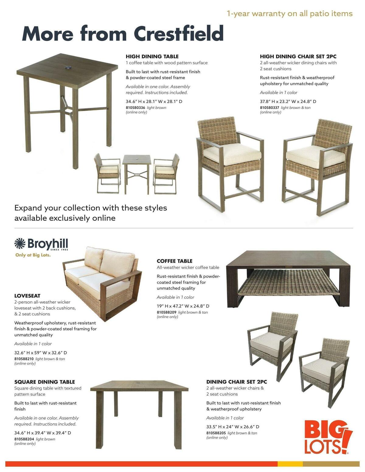 Big Lots Outdoor Living Weekly Ad from January 7