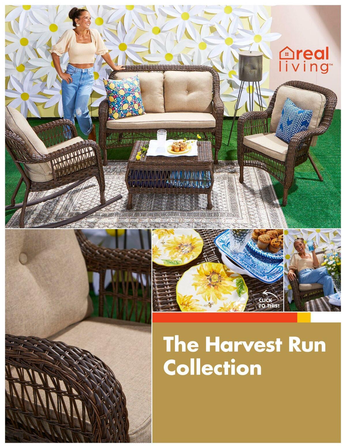 Big Lots Outdoor Living Weekly Ad from January 7