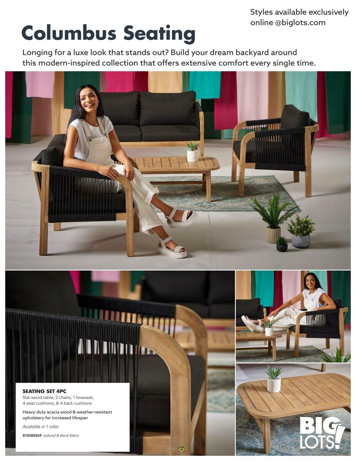 Big Lots Outdoor Living Weekly Ad from January 7