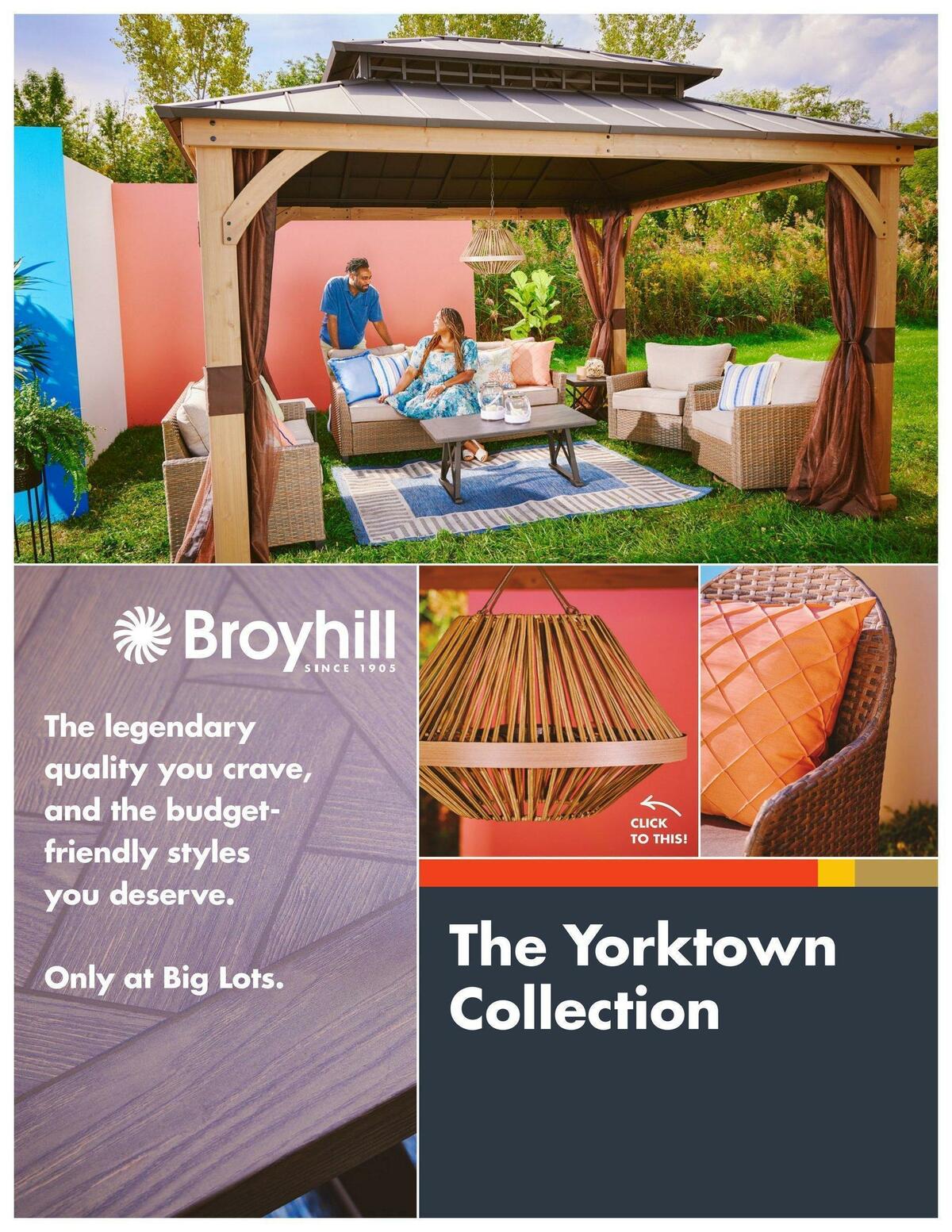 Big Lots Outdoor Living Weekly Ad from January 7