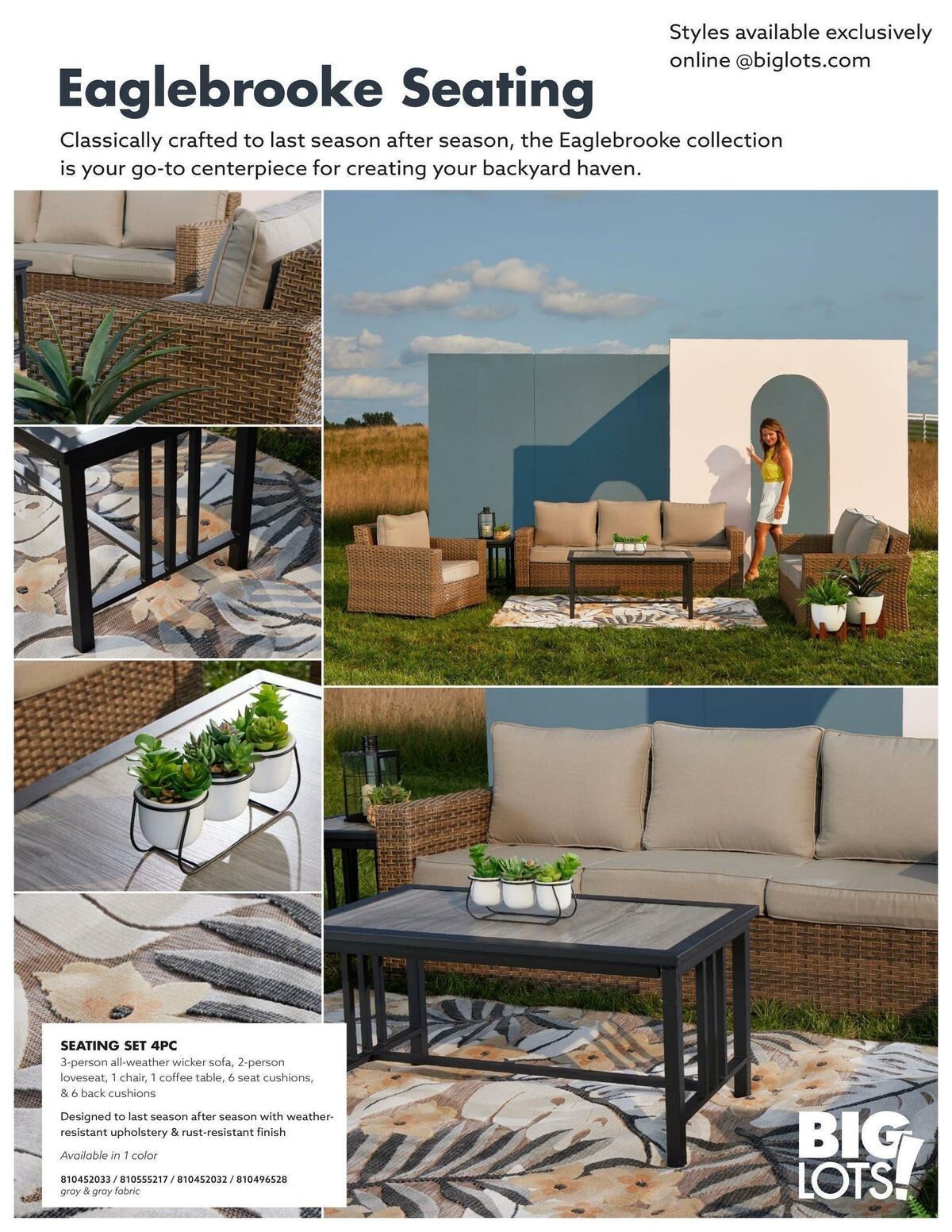 Big Lots Outdoor Living Weekly Ad from January 7