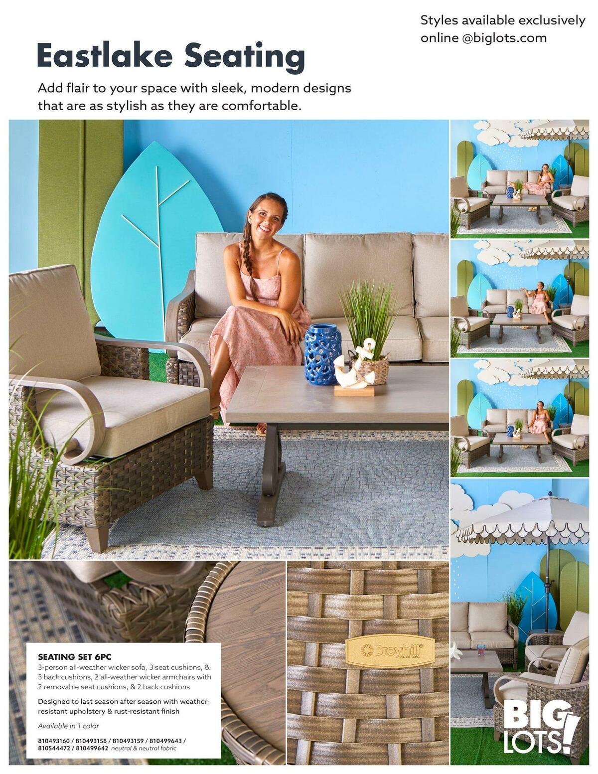 Big Lots Outdoor Living Weekly Ad from January 7