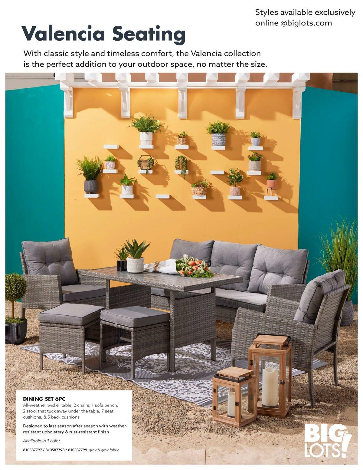 Big Lots Outdoor Living Weekly Ad from January 7