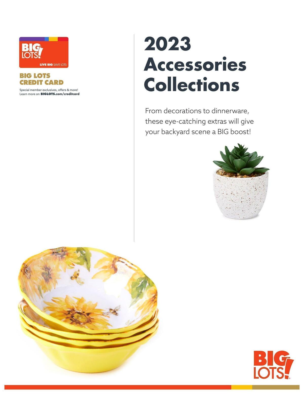 Big Lots Outdoor Living Weekly Ad from January 7