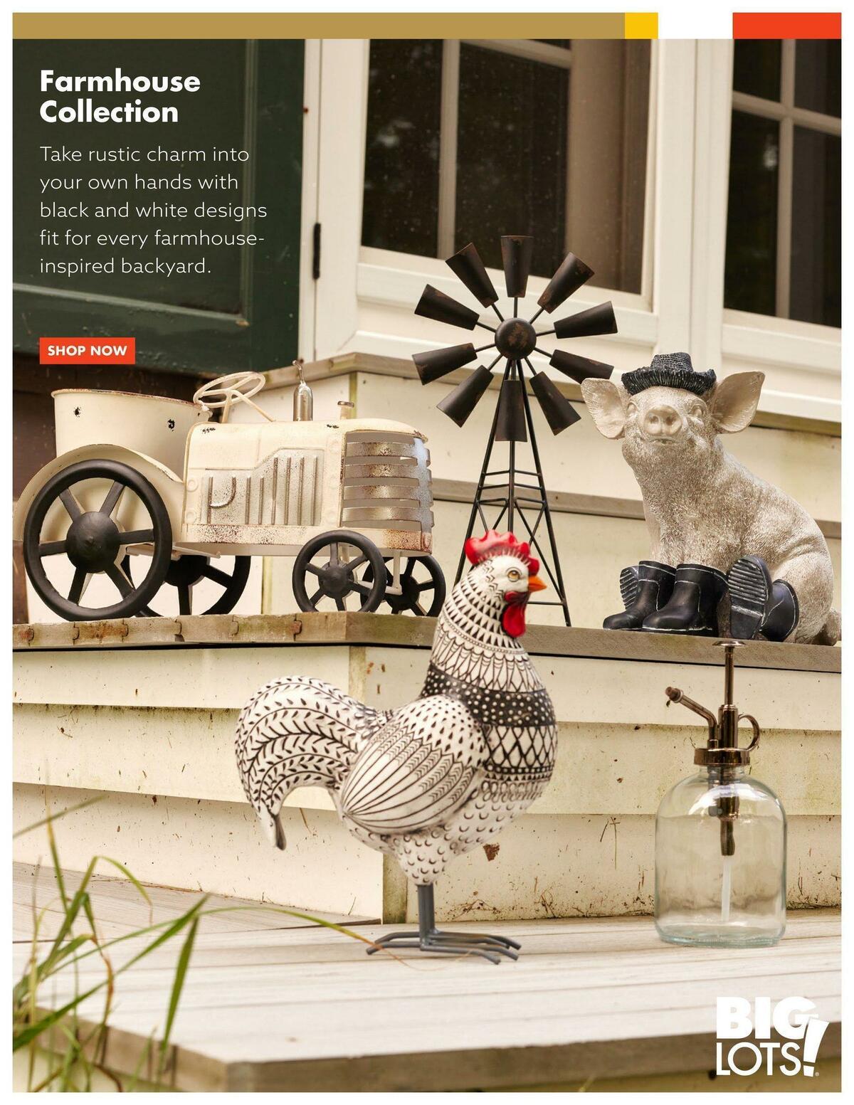 Big Lots Outdoor Living Weekly Ad from January 7