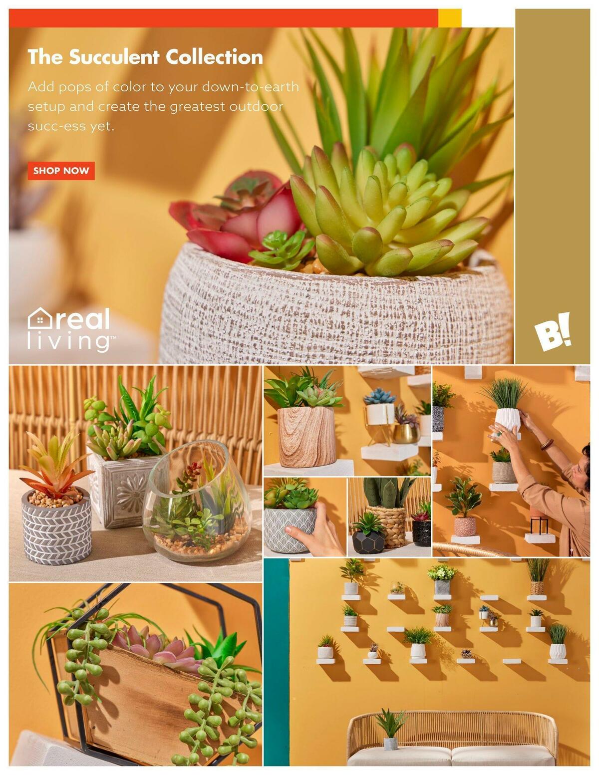 Big Lots Outdoor Living Weekly Ad from January 7