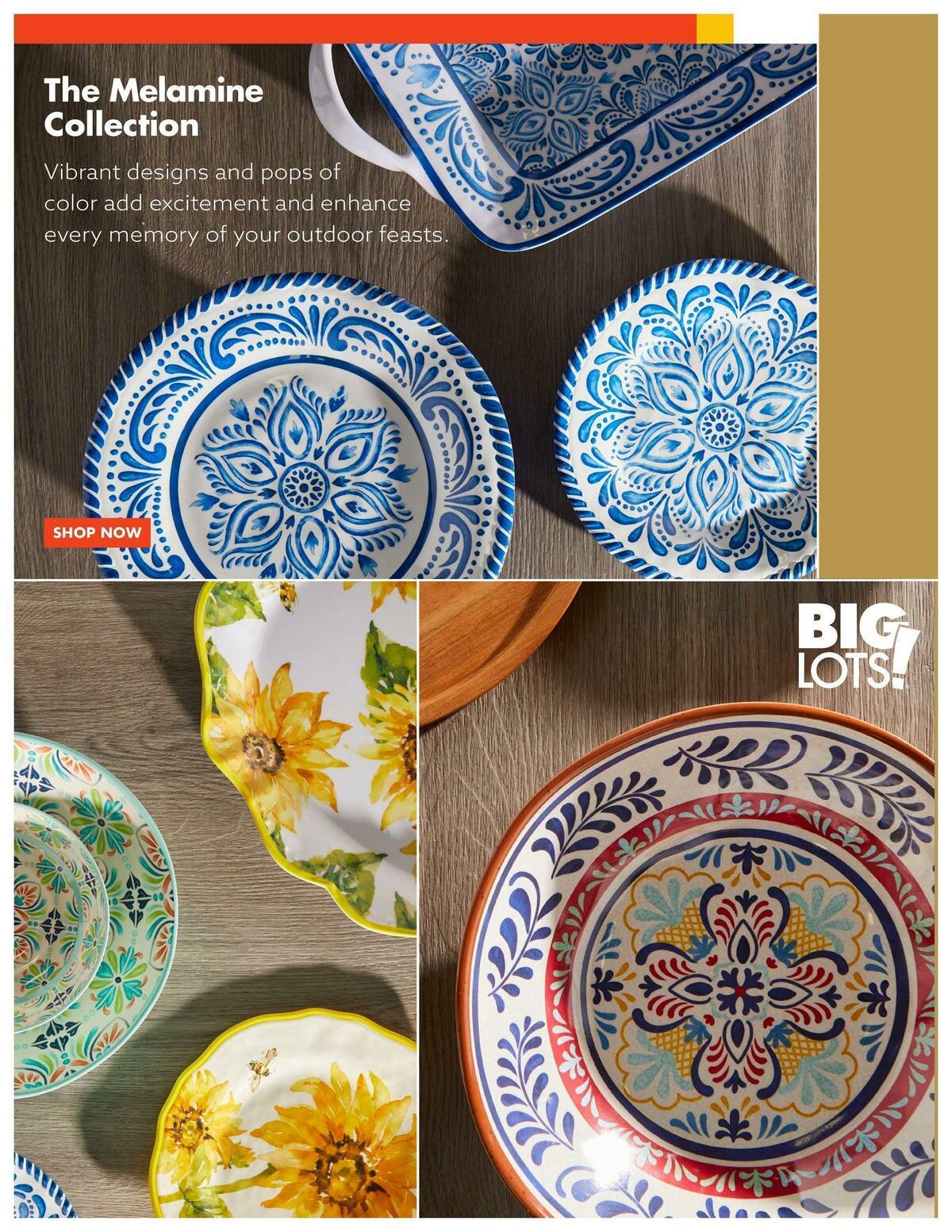 Big Lots Outdoor Living Weekly Ad from January 7