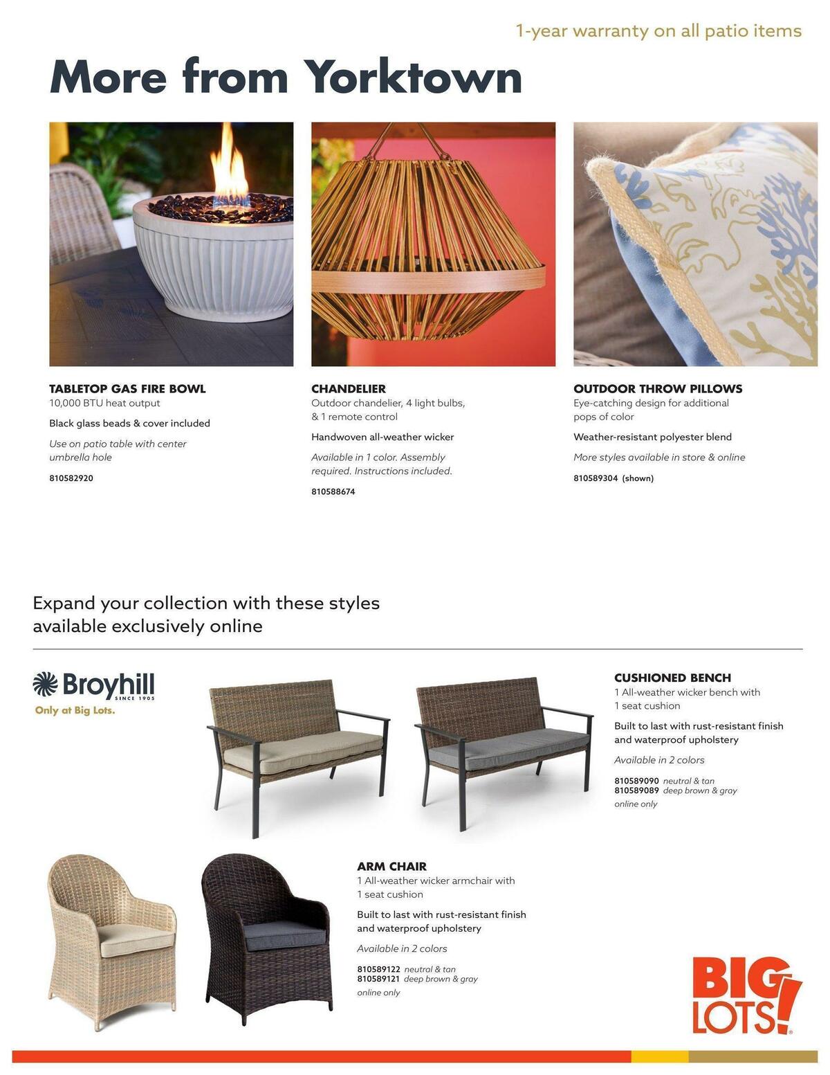 Big Lots Outdoor Living Weekly Ad from January 7