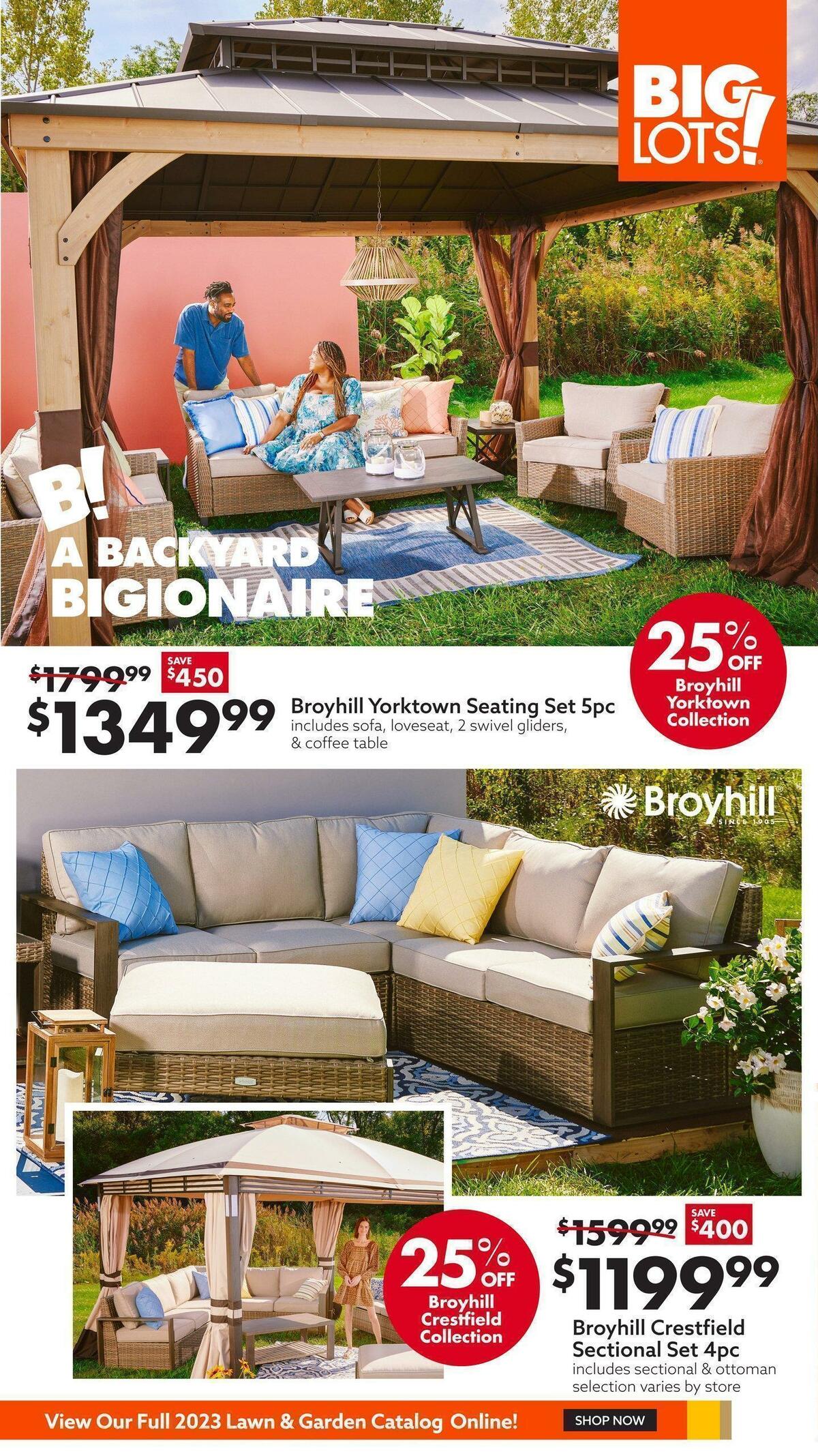 Big Lots Weekly Ad from March 25