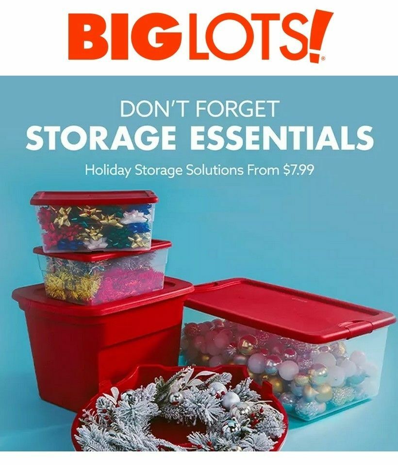 Big Lots Weekly Ad from December 26