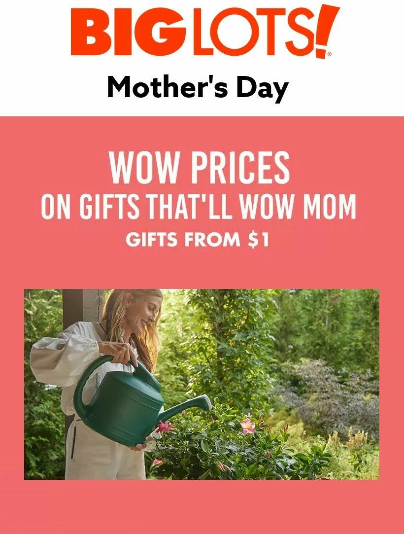 Big Lots Mother's Day Weekly Ad from April 16