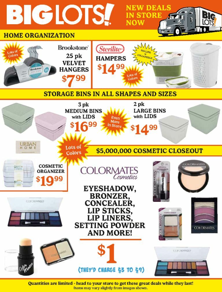 Big Lots Weekly Ad from June 26