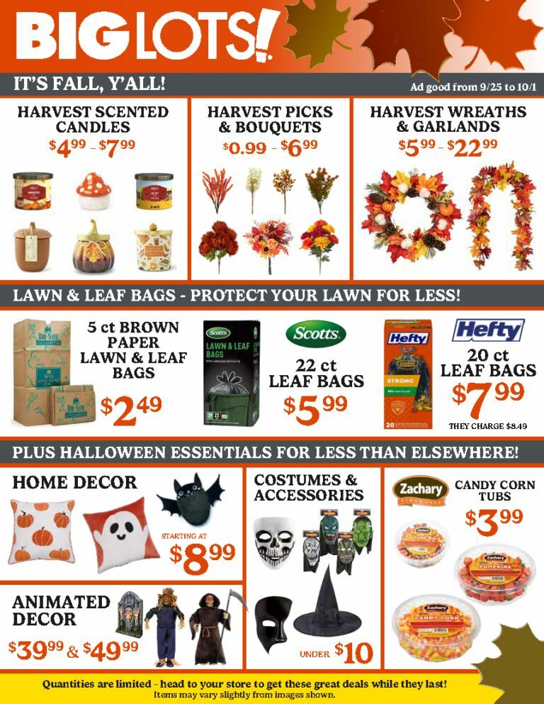 Big Lots Weekly Ad from September 25
