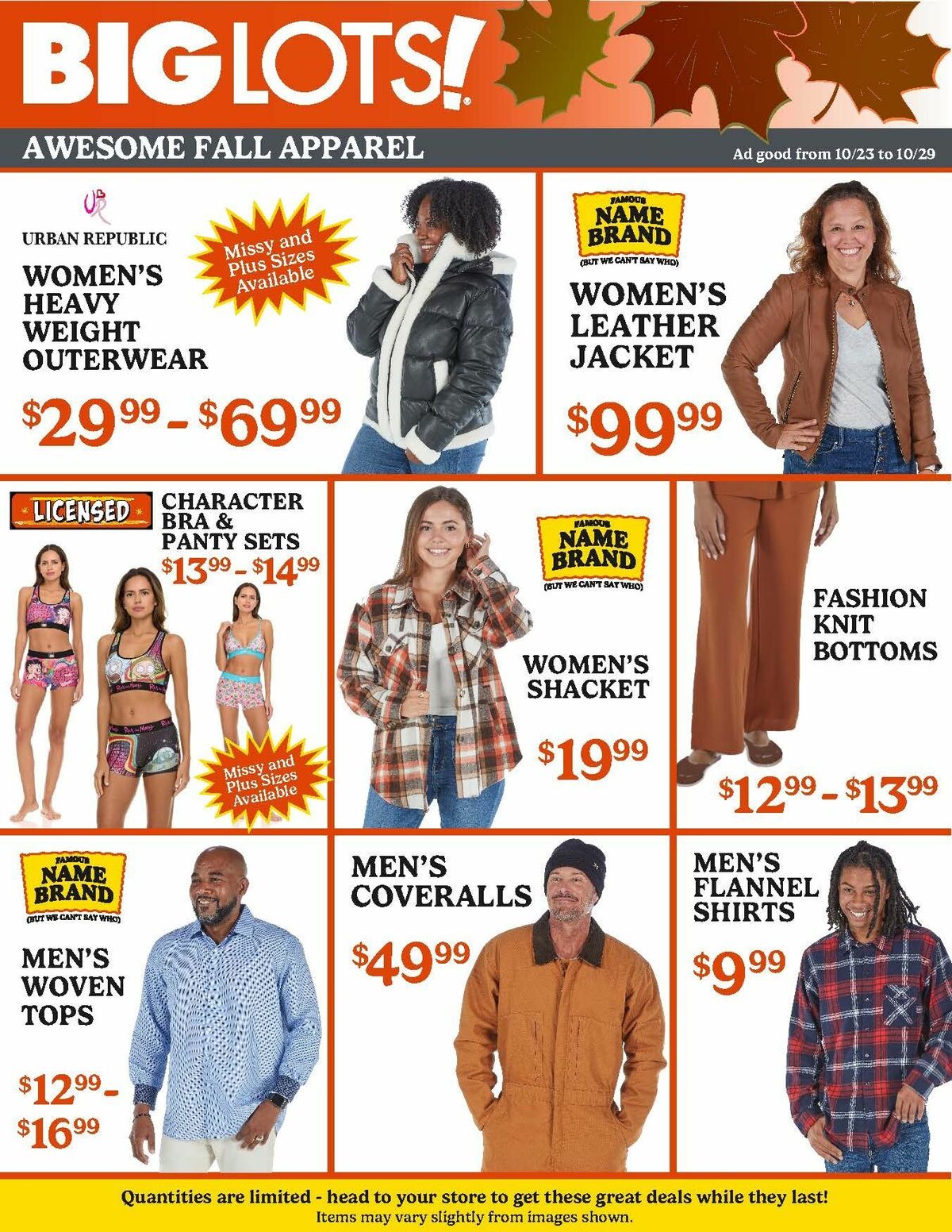 Big Lots Weekly Ad from October 23
