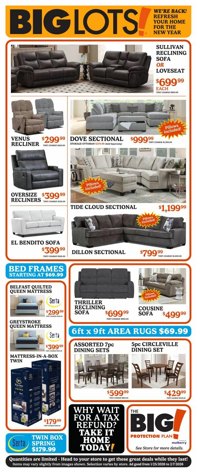 Big Lots Weekly Ad from January 25