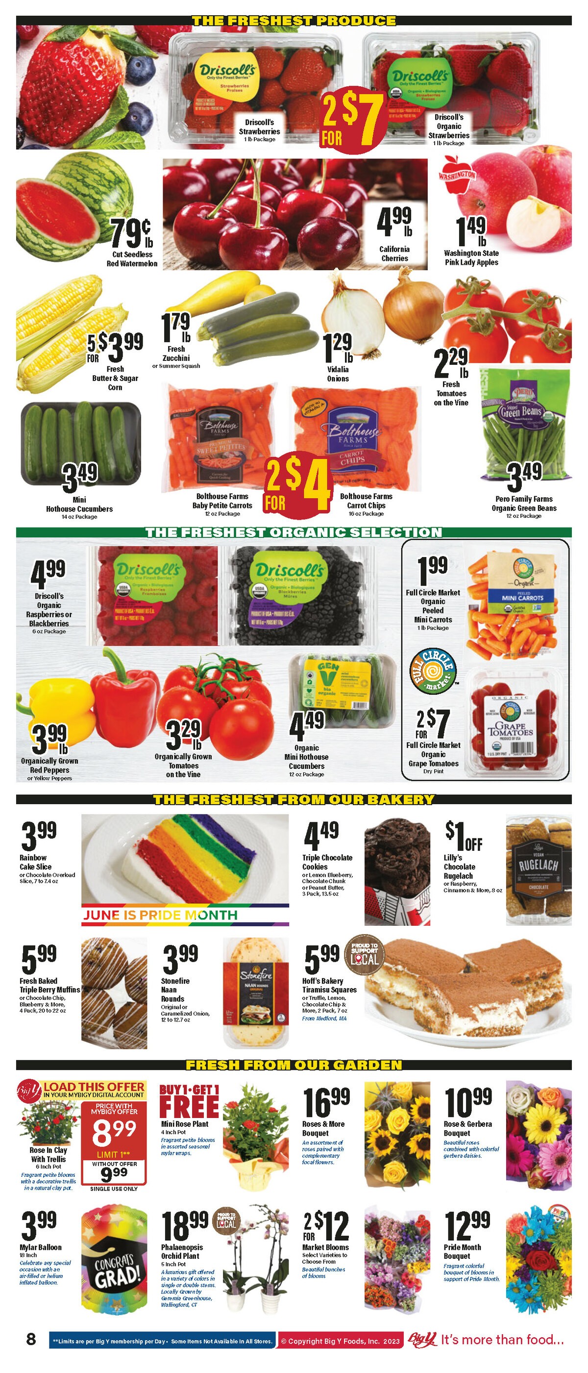 Big Y Weekly Ad from June 1