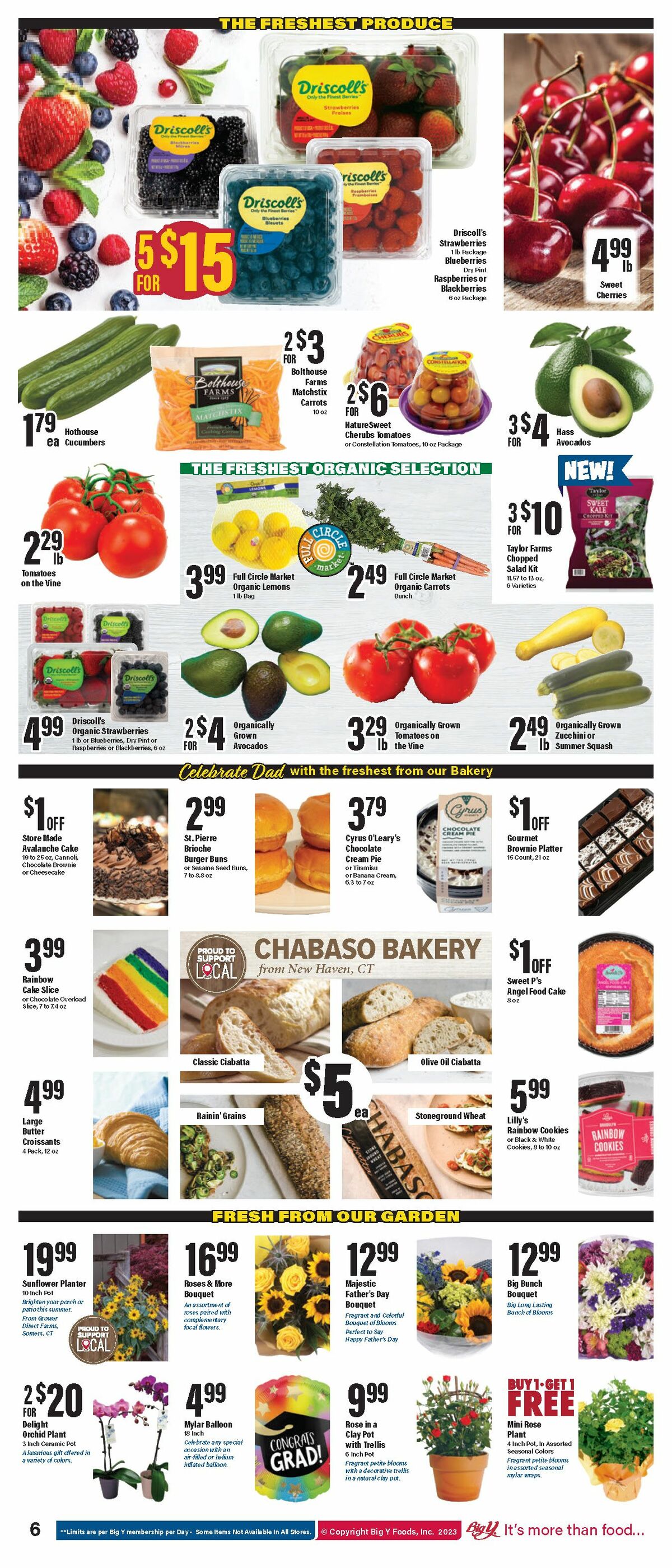Big Y Weekly Ad from June 15