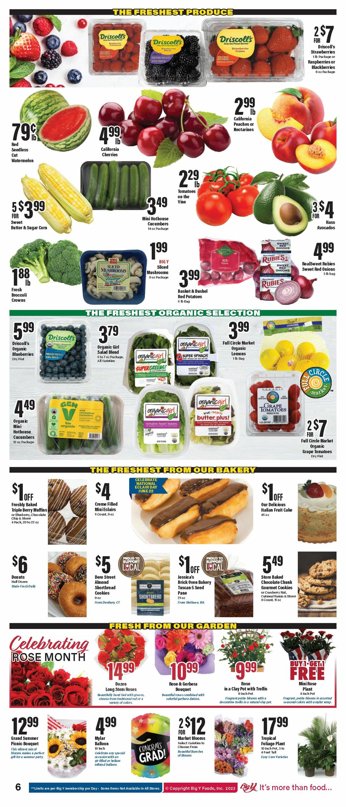 Big Y Weekly Ad from June 22
