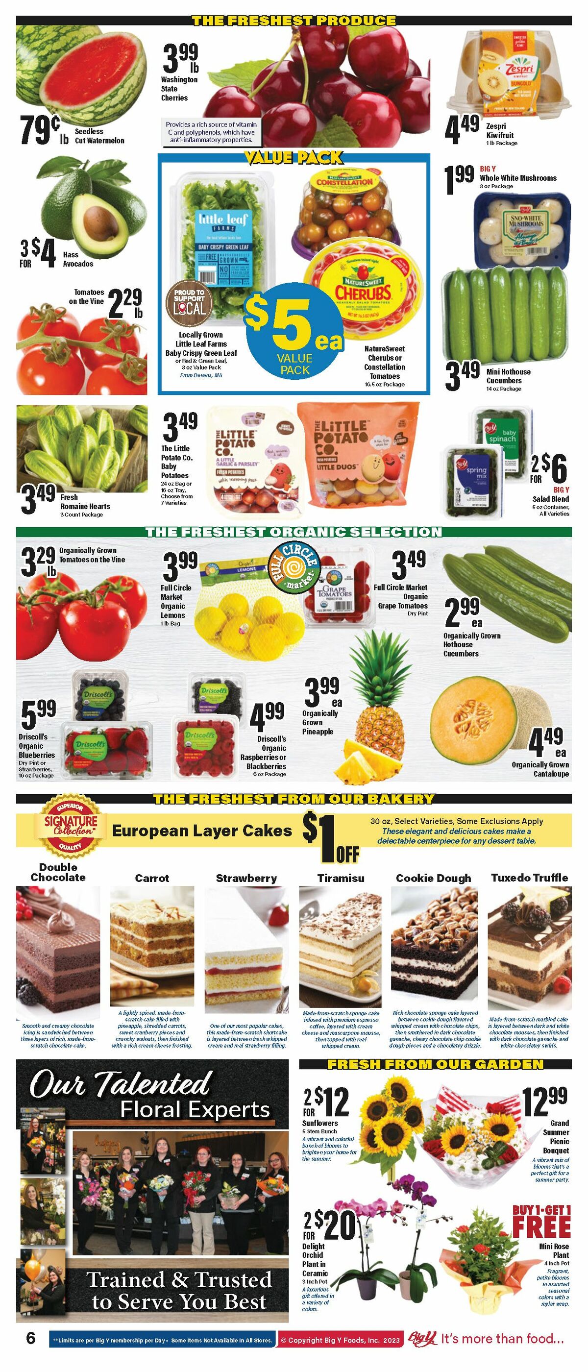 Big Y Weekly Ad from July 6