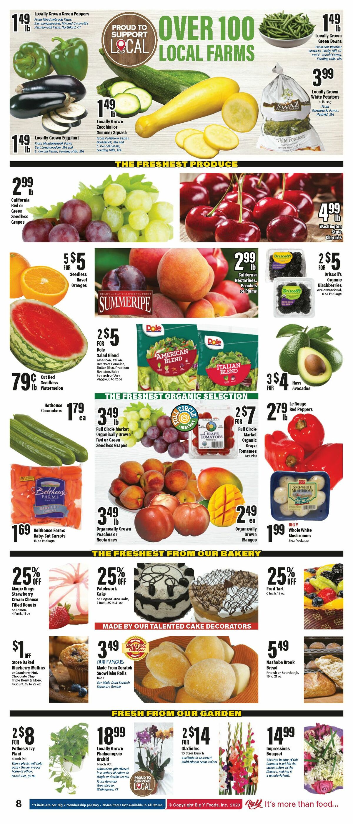 Big Y Weekly Ad from August 17