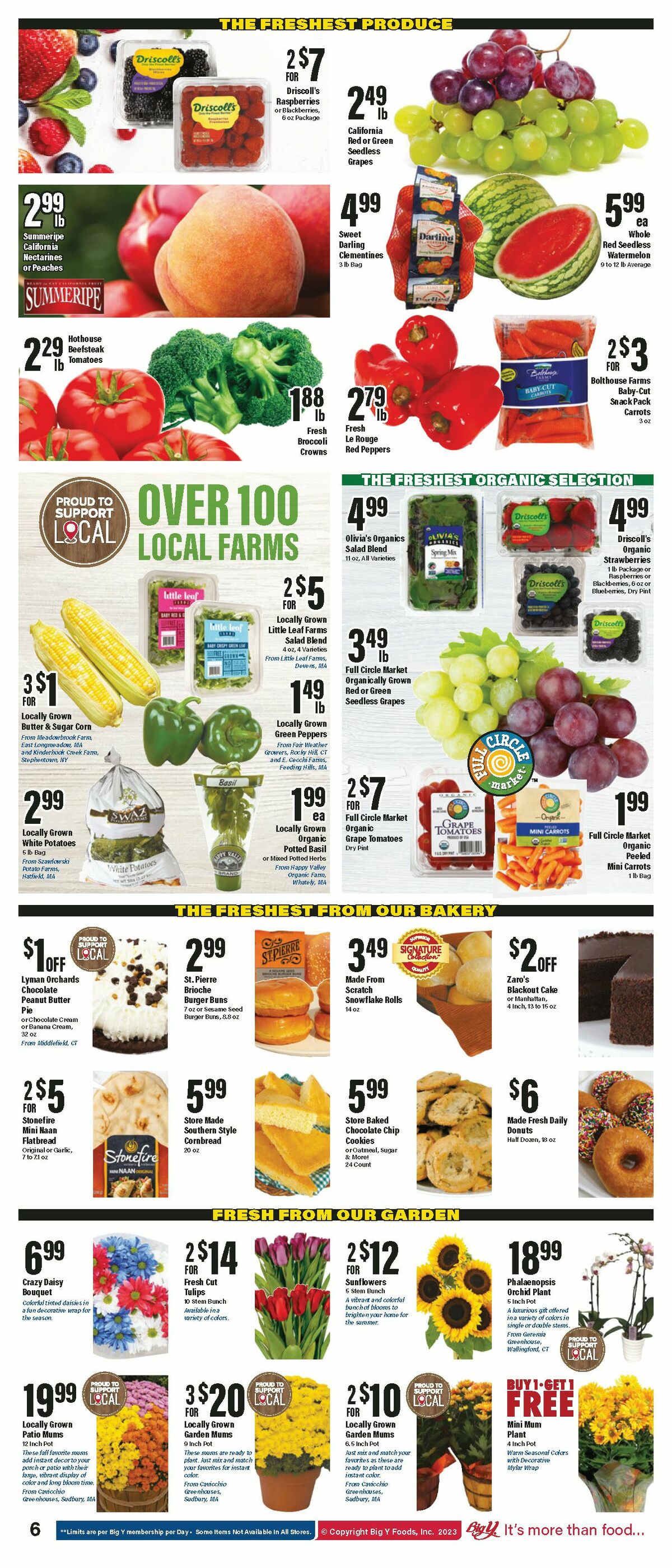Big Y Weekly Ad from August 31