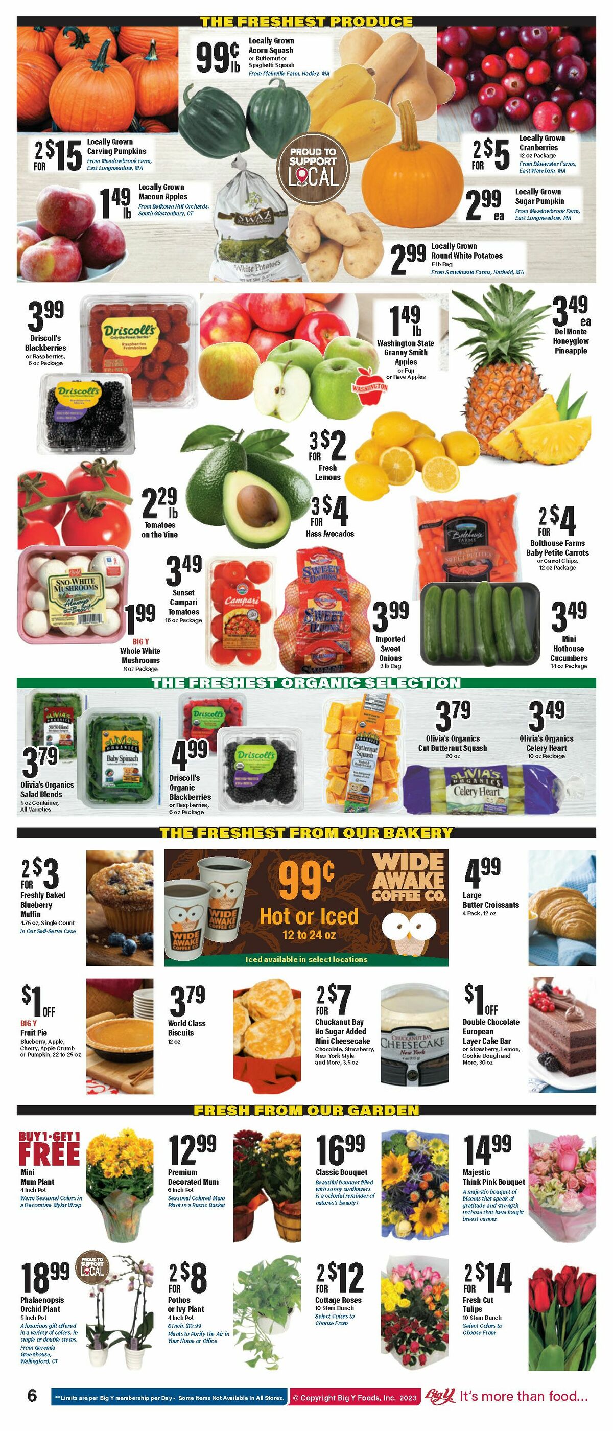 Big Y Weekly Ad from October 19