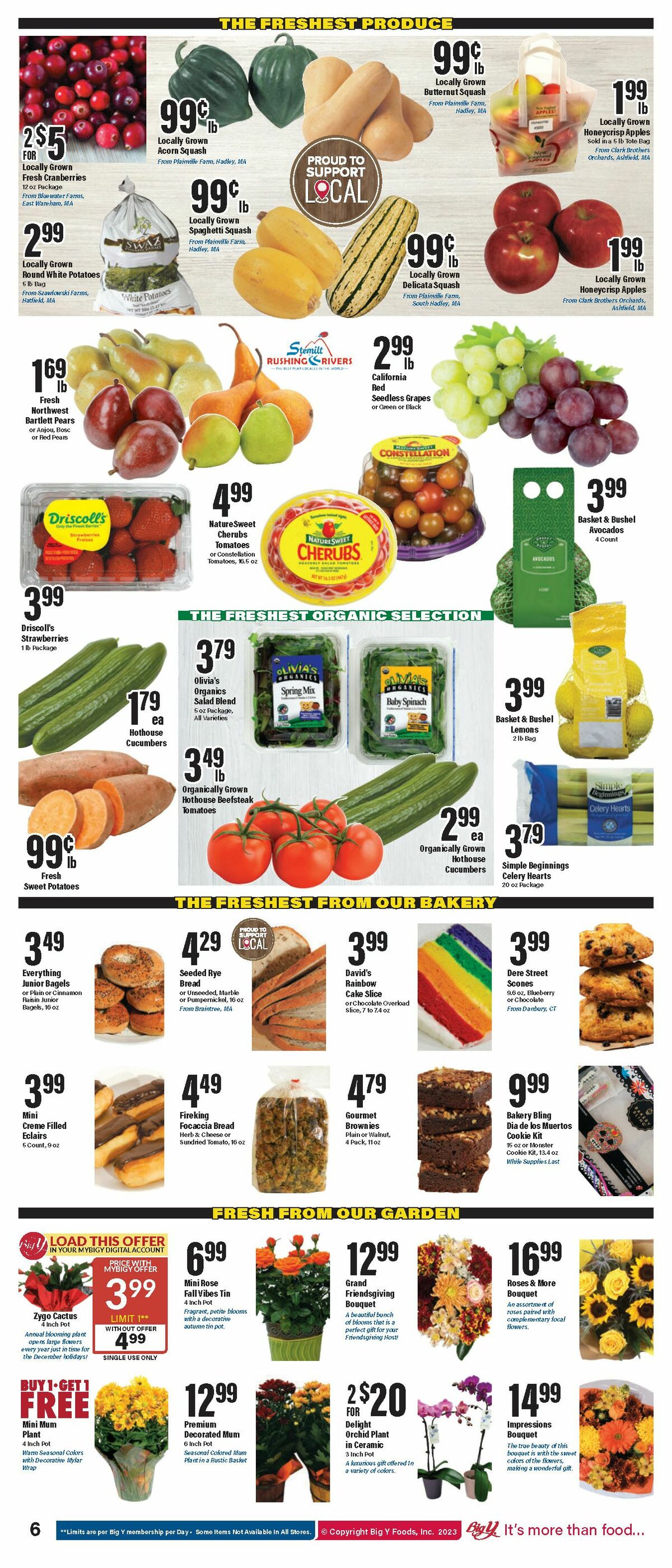 Big Y Weekly Ad from November 2