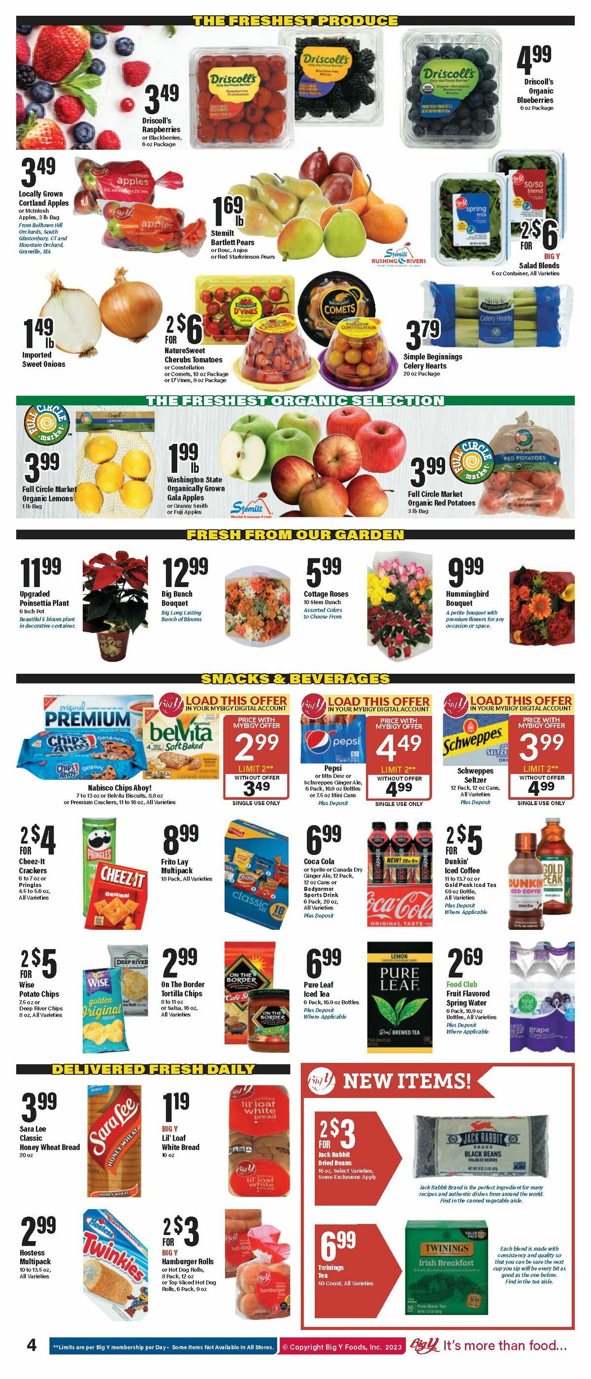 Big Y Weekly Ad from November 23