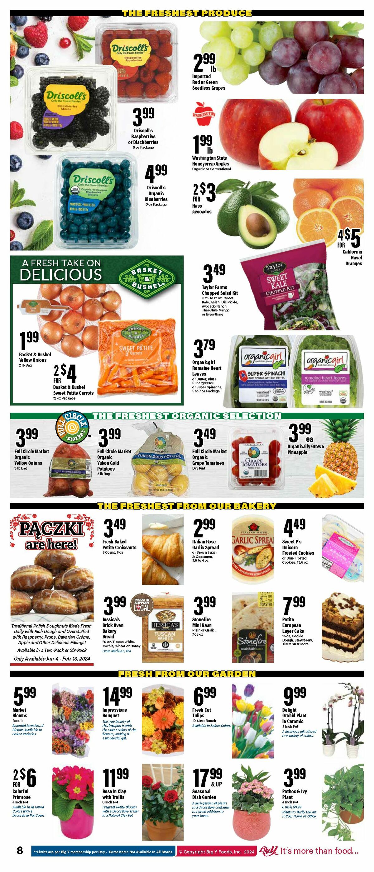 Big Y Weekly Ad from January 11