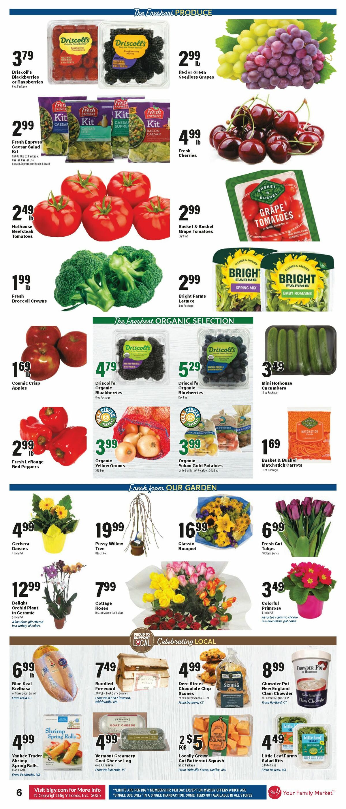 Big Y Weekly Ad from January 23