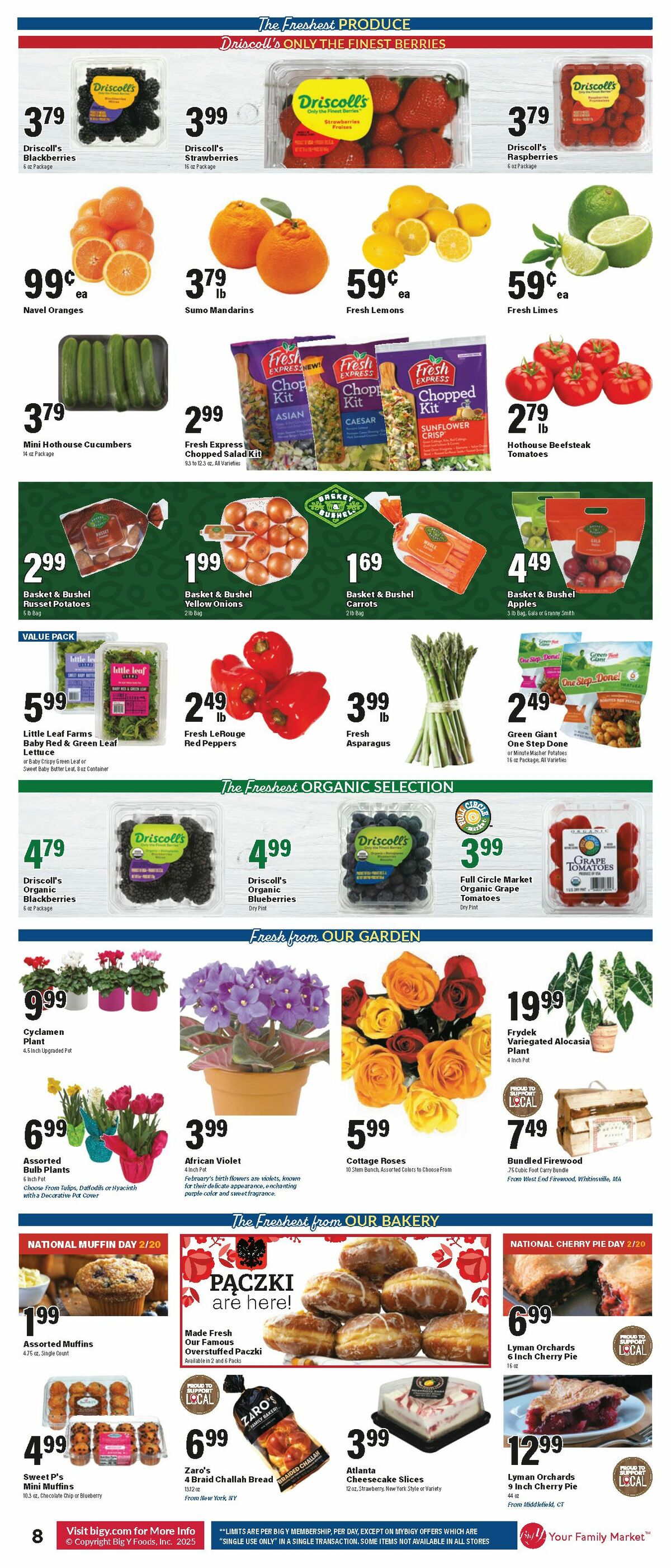 Big Y Weekly Ad from February 20