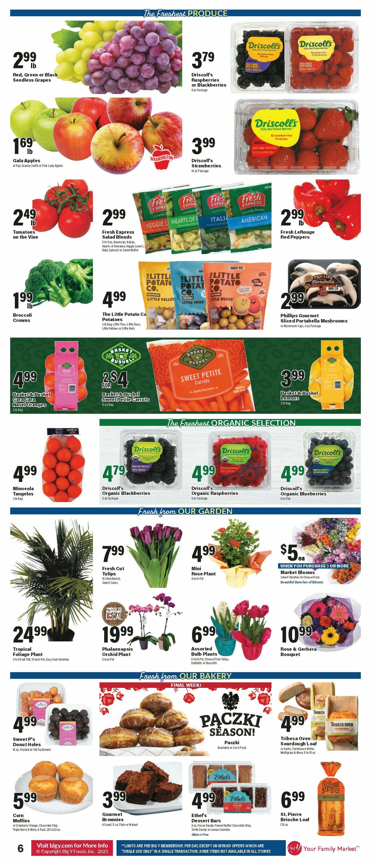 Big Y Weekly Ad from February 27