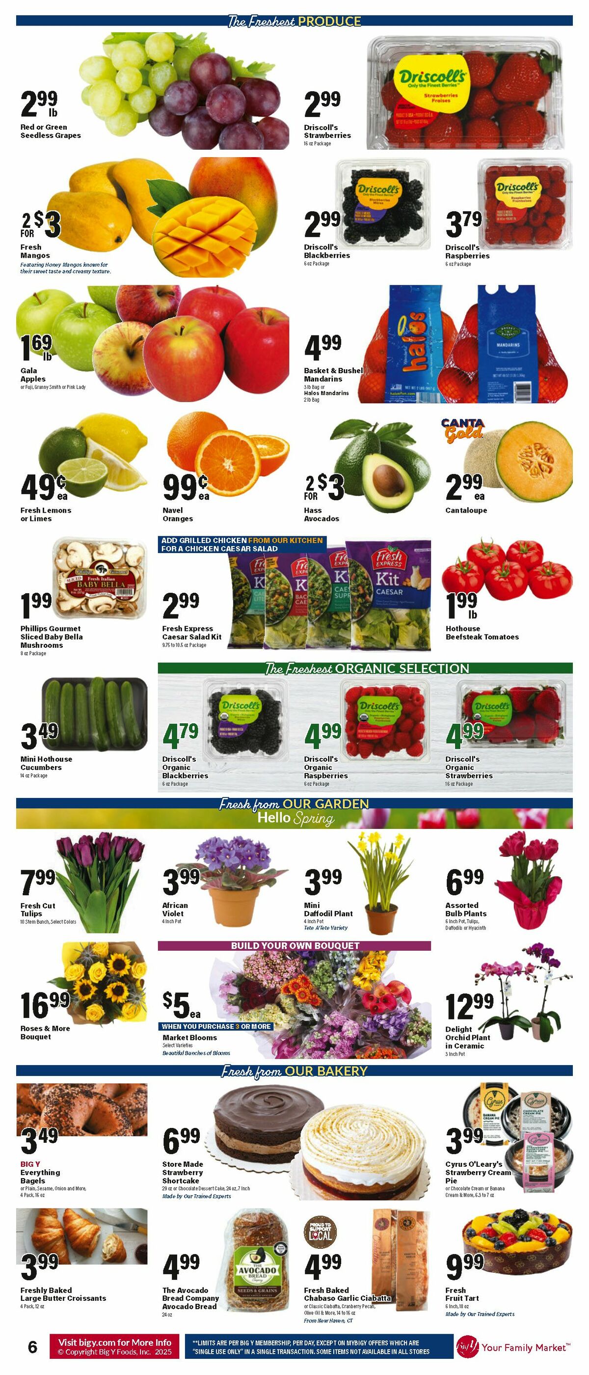 Big Y Weekly Ad from March 20