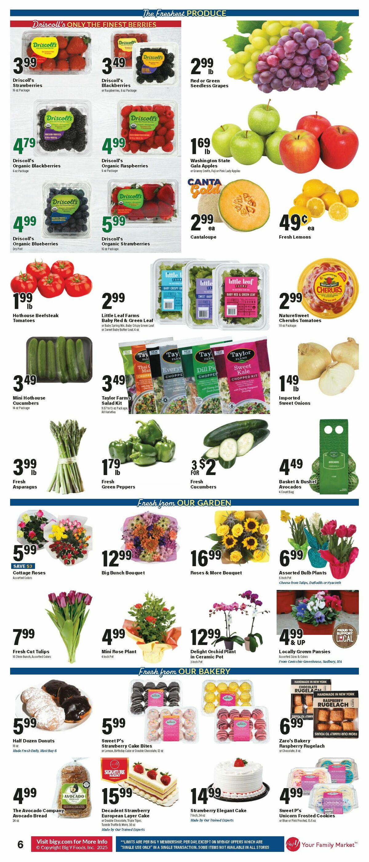 Big Y Weekly Ad from April 3
