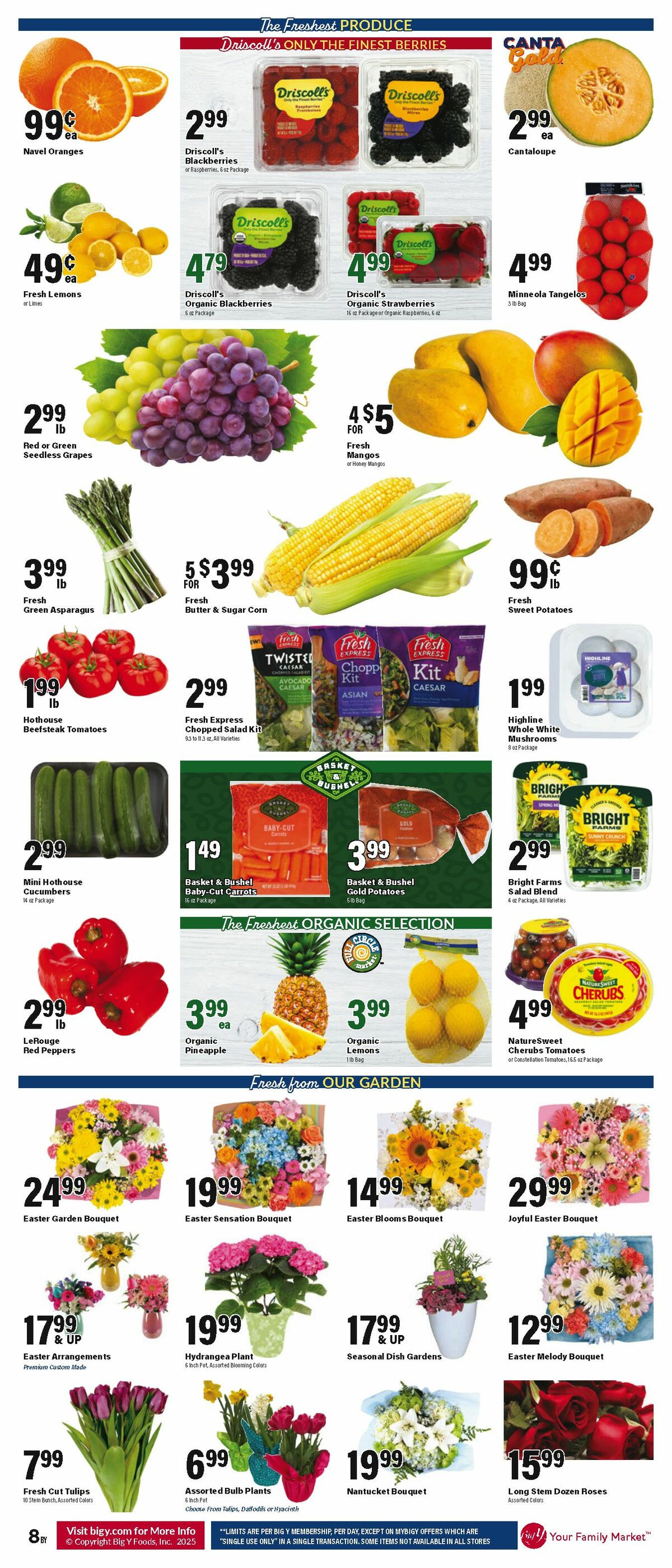 Big Y Weekly Ad from April 17
