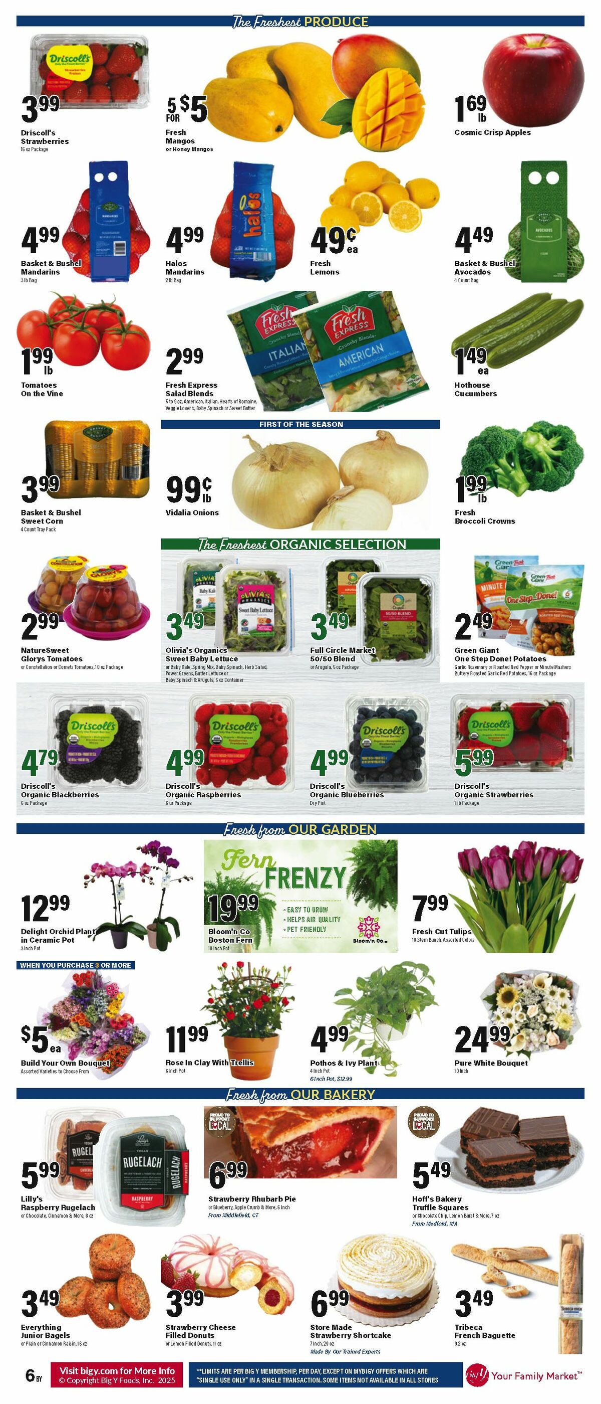 Big Y Weekly Ad from April 24