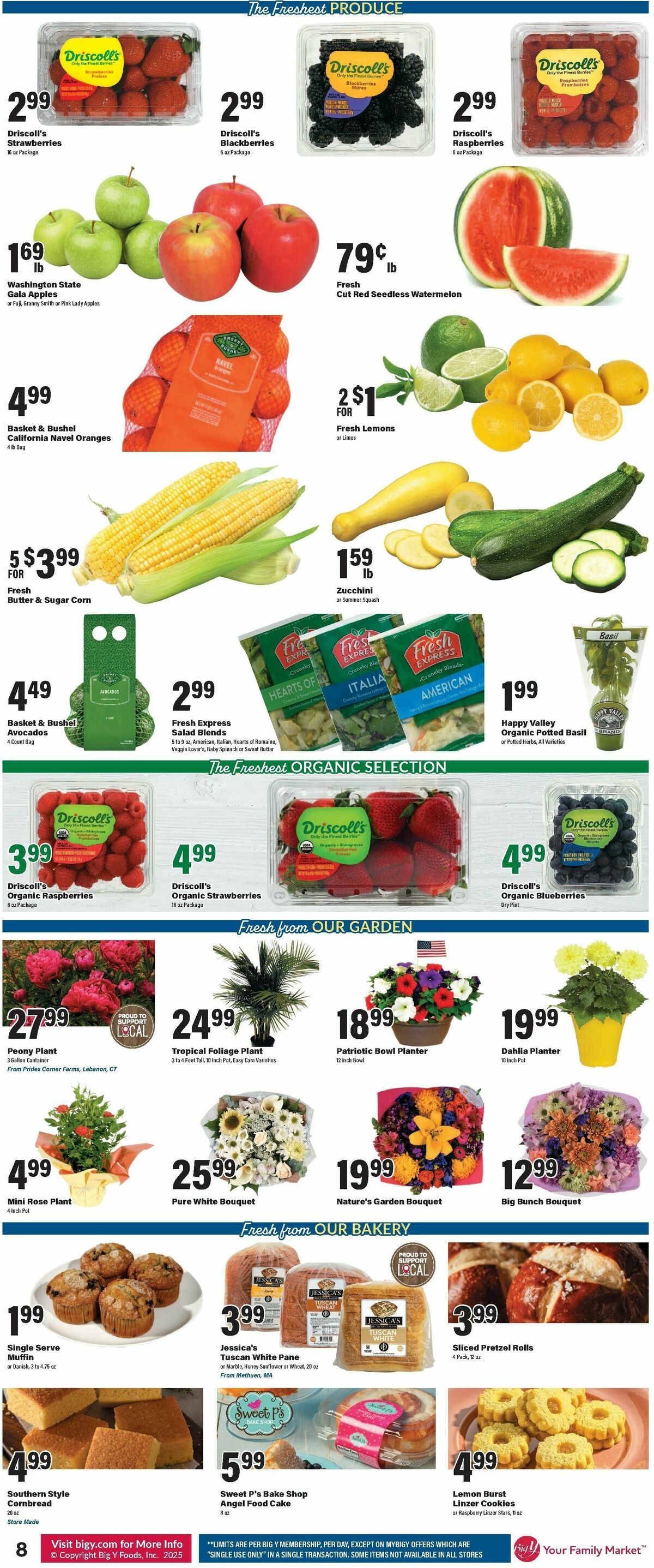 Big Y Weekly Ad from May 15