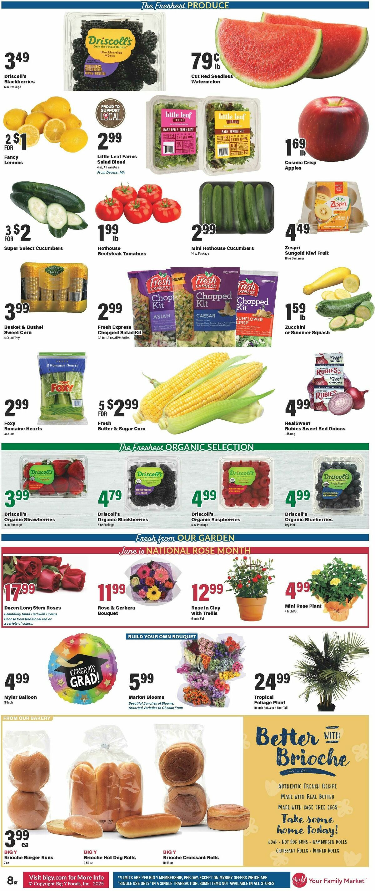Big Y Weekly Ad from June 19