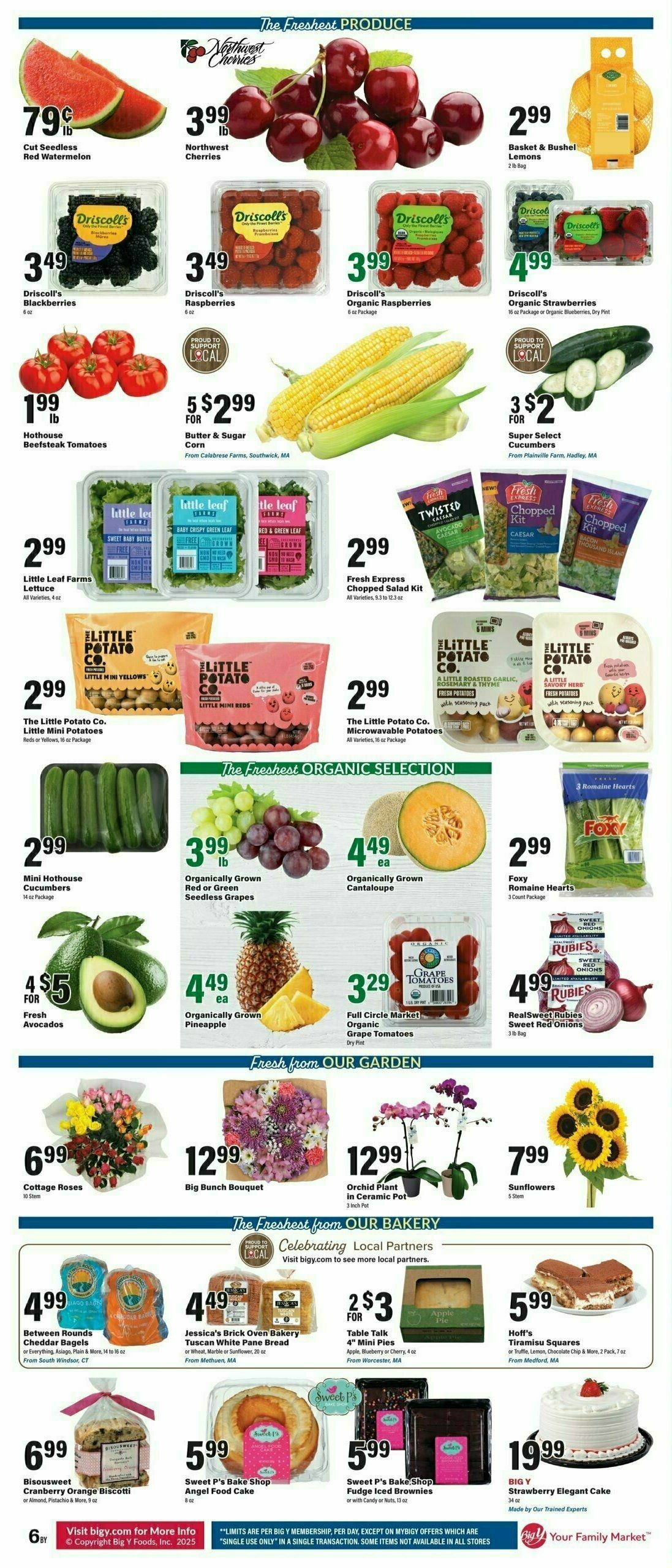 Big Y Weekly Ad from July 10