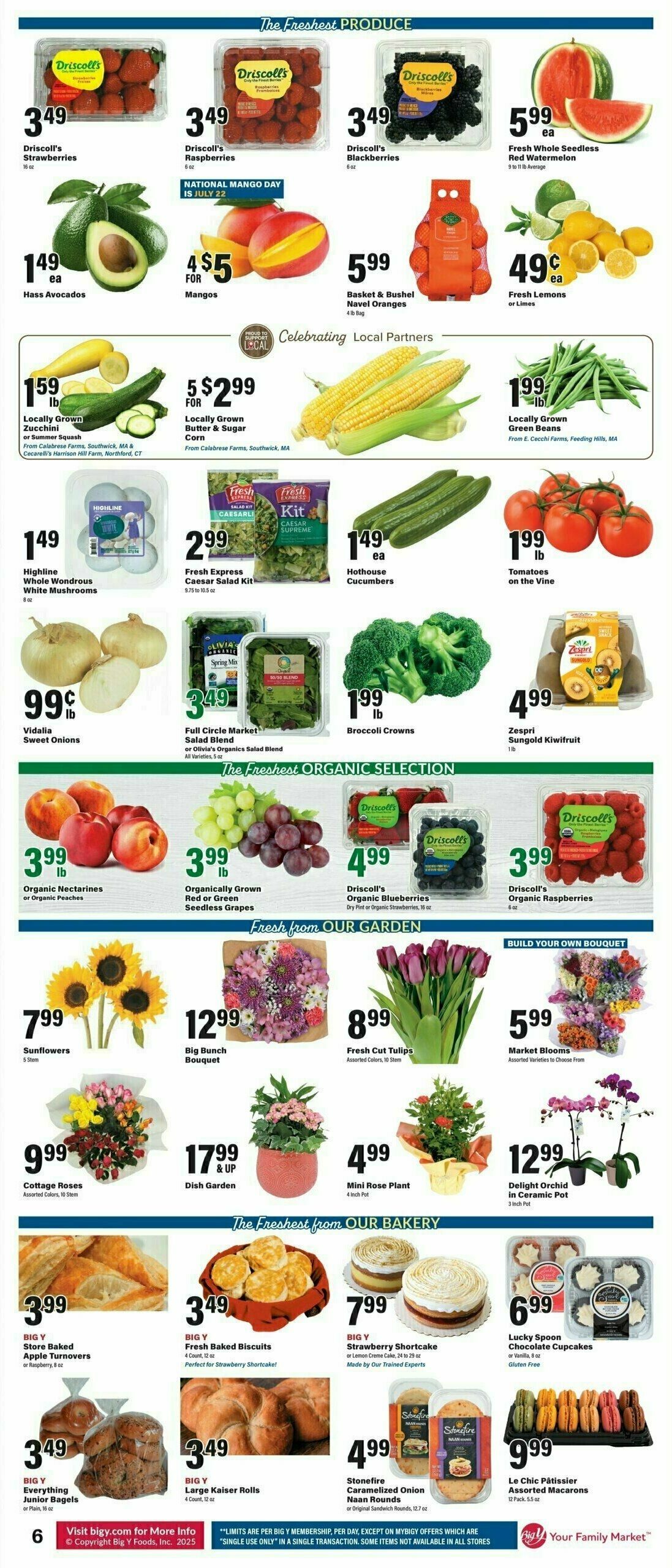 Big Y Weekly Ad from July 17