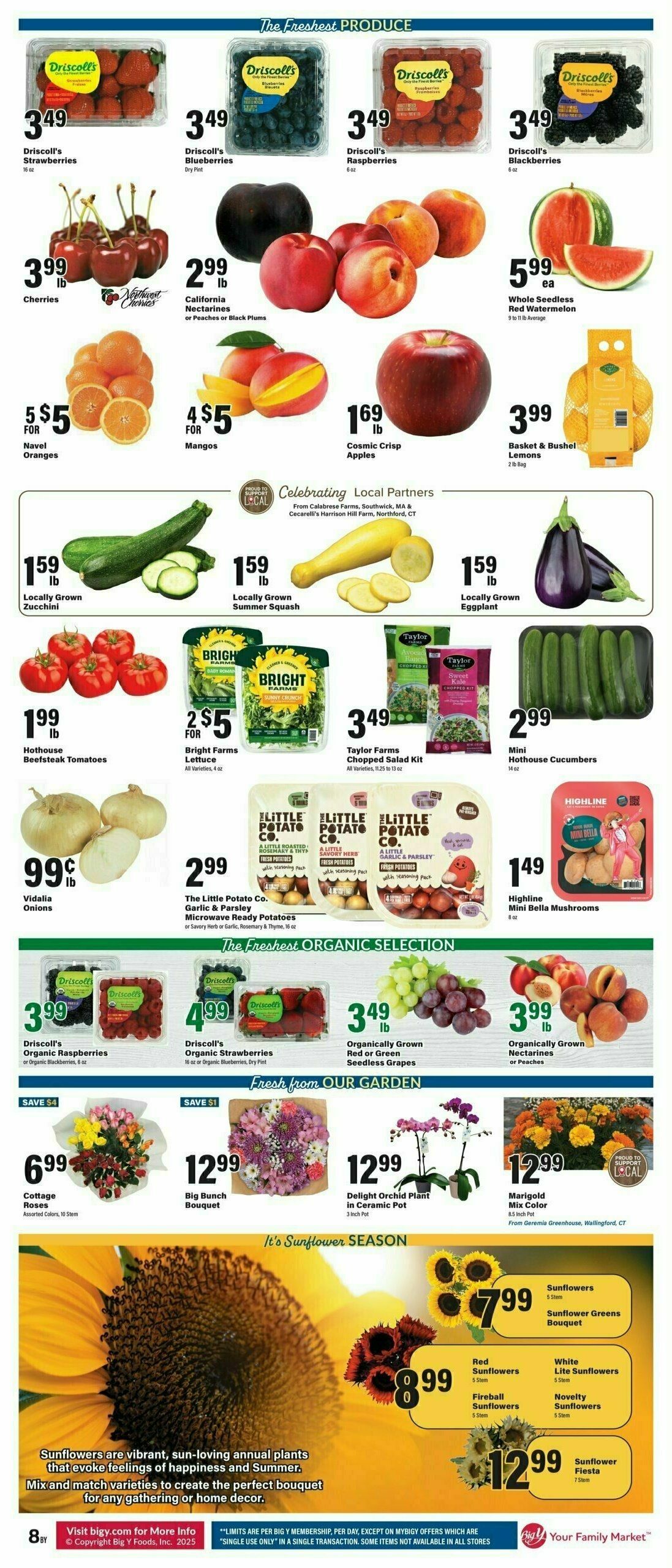 Big Y Weekly Ad from July 24