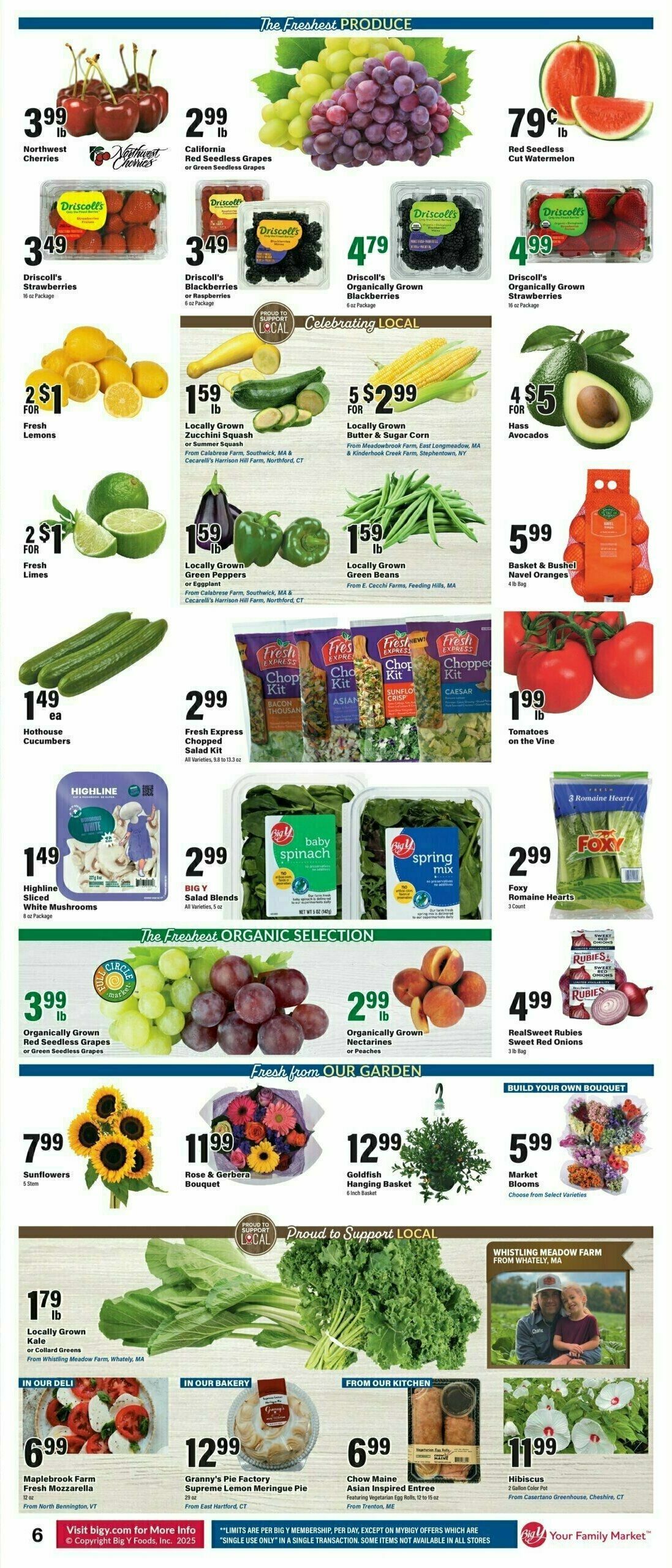 Big Y Weekly Ad from July 31