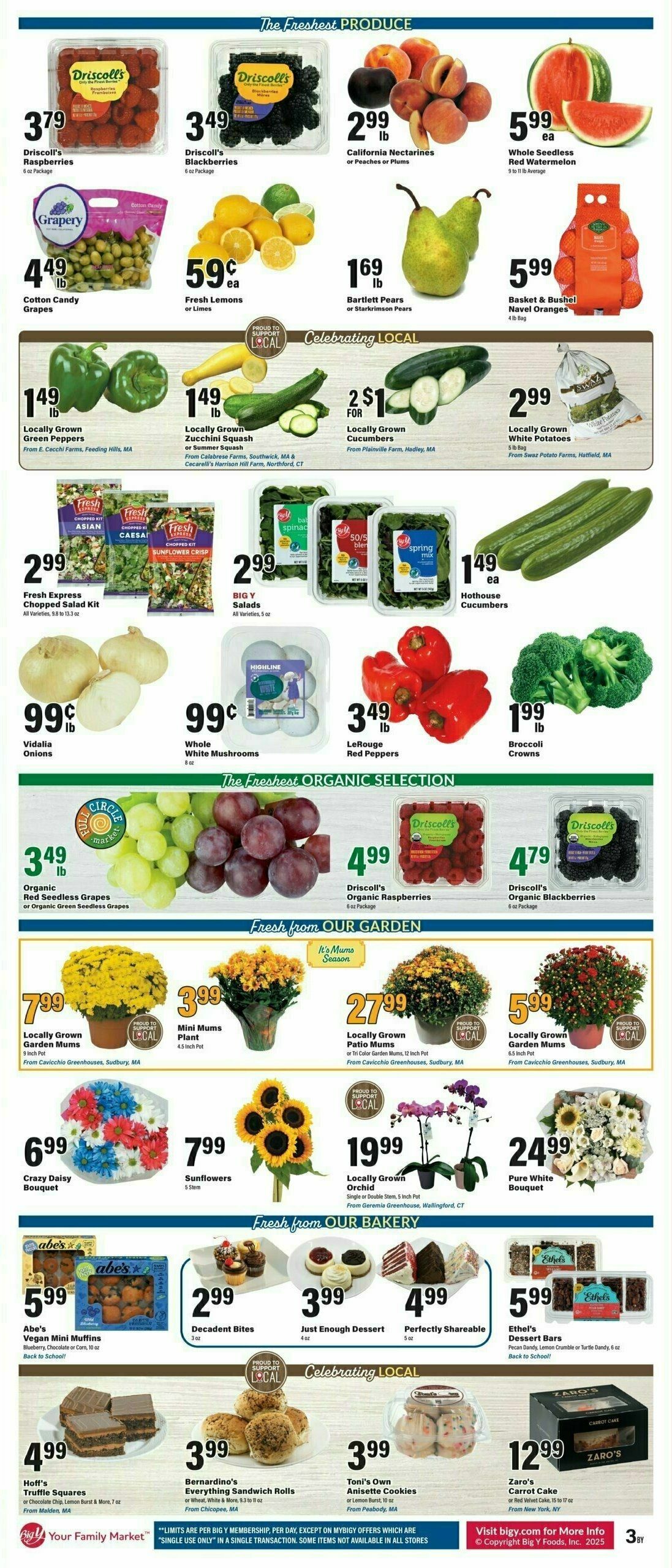 Big Y Weekly Ad from August 28